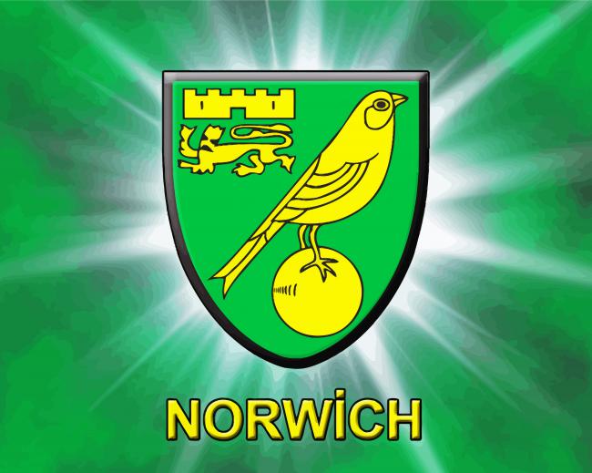 Norwich City paint by number