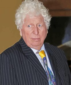 Old Tom Baker paint by numbers