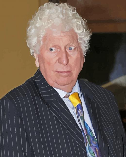 Old Tom Baker paint by numbers
