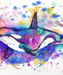 Orca Art paint by numbers
