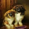 Pekingese Dogs paint by number