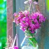 Phlox In Glass Vase paint by numbers