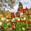 Poland Wawel Krakow Poland Cathedral paint by numbers