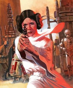 Princess Leia Star Wars paint by numbers