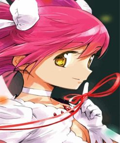 Puella Magi Madoka Magica Anime paint by number