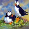 Puffin Birds paint by numbers