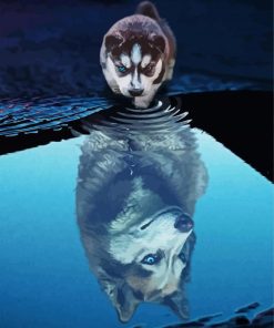 Puppy Wolf Reflection paint by number
