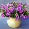 Purple Petunia Vase paint by number