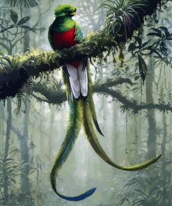 Quetzal Art paint by numbers