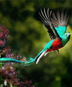 Quetzal Flying Bird paint by numbers
