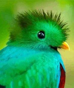 Quetzal Head paint by numbers