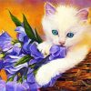Ragdoll And Flowers paint by number