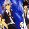 Rave Master Anime Characters paint by number