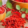 Red Goji Berries paint by numbers