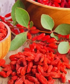 Red Goji Berries paint by numbers
