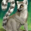 Ring Tailed Lemur Animal paint by numbers