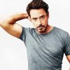 Robert Downey Jr American Actor paint by number