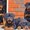 Rottweiler Family paint by number
