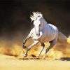 Running White Andalusian Horse paint by number