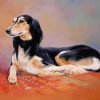 Saluki Dog Art paint by numbers