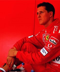 Schumacher paint by number