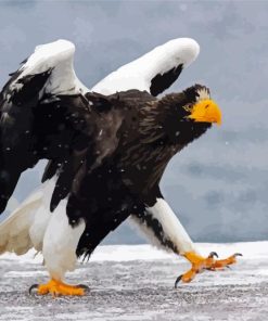 Sea Eagle Bird In Snow paint by number