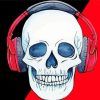 Skull With Headphone paint by numbers