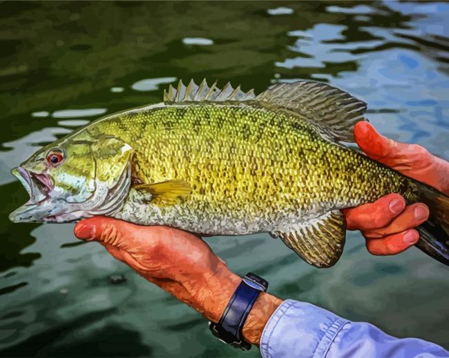 Smallmouth paint by number