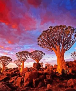 Southern Namibia Aloe Dichotoma Trees paint by number