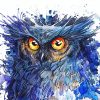 Splatter Owl Art paint by number