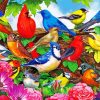 Colorful Spring Birds paint by number