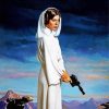 Star Wars Leia paint by numbers