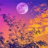 Sunset Full Moon paint by number