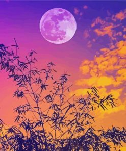 Sunset Full Moon paint by number