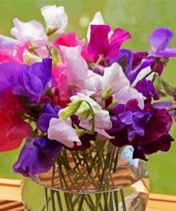 Sweetpea In Glass Vase paint by number