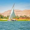 The Nile River Egypt paint by number