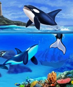 The Orca Family paint by number