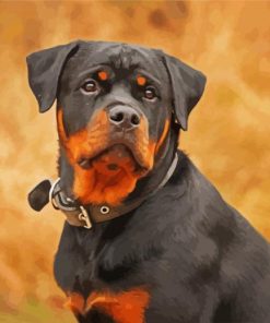 The Rottweiler Dog paint by number