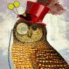 The Steampunk Owl paint by number
