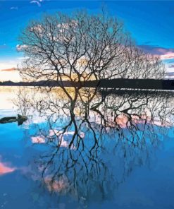 Tree Reflection On Lake paint by number