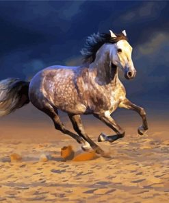 White Andalusian Horse In The Desert paint by number