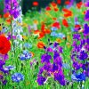 Wild Colorful Flowers Meadow paint by numbers