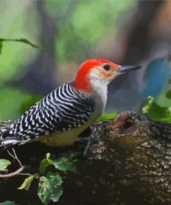 Beautiful Woodpecker Bird paint by number