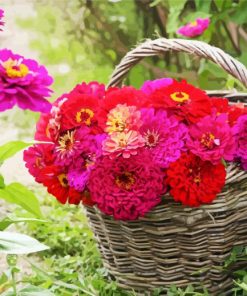 Zinnias Basket paint by number