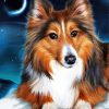 Adorable Sheltie paint by number