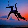Aerial Silks Silhouette paint by number