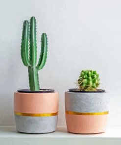 Cactus Pots paint by numbers