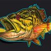 Smallmouth Illustration paint by numbers