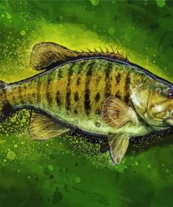 Smallmouth Fish Illustration paint by numbers