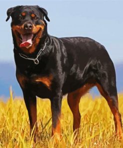 Aesthetic Black Rottweiler paint by number
